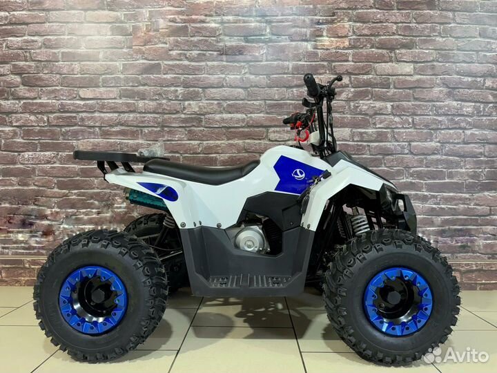 Квадроцикл Yacota Raposa 110 LD