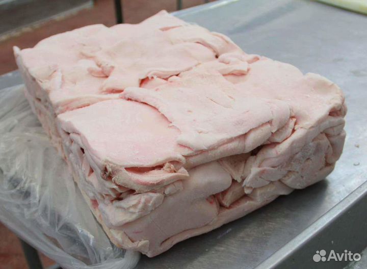 Шпик хребтовой