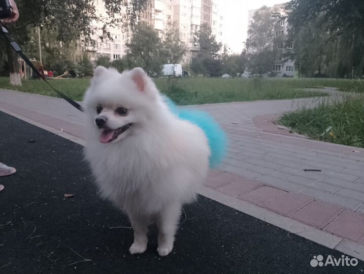 Ищет подругу