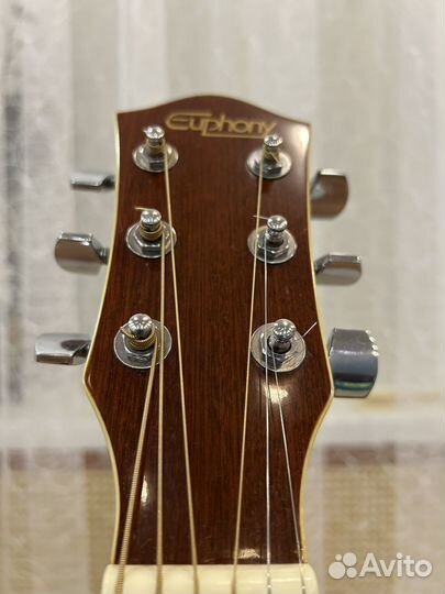 Акустическая гитара Euphony EW-201CN