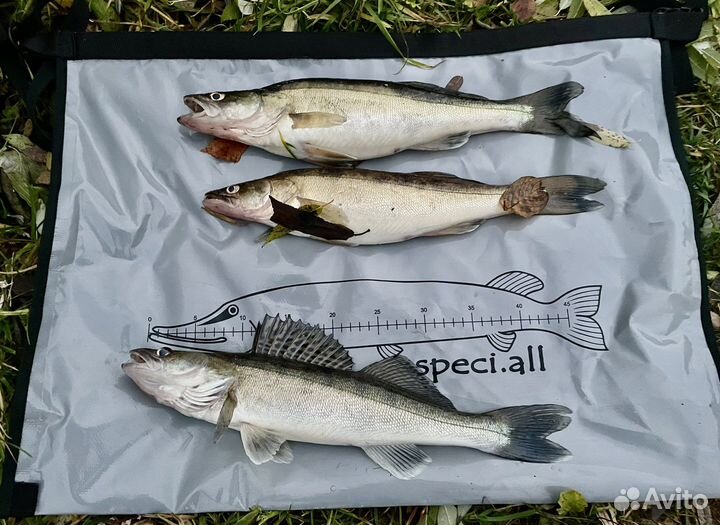 Сумка для рыбы рыбалки полностью герметична