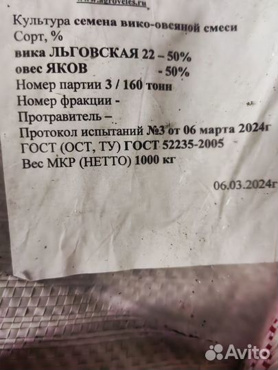 Семена вика овес