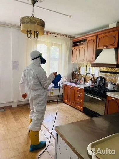 Уничтожение тараканов и клопов с первого раза