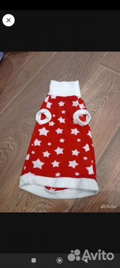 Одежда для собак