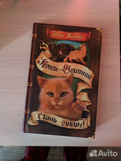Детские книги, коты воители эрин хантер