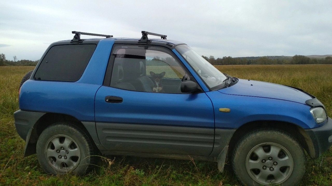 Toyota RAV4: фото владельца