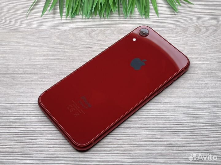iPhone XR 128GB Red