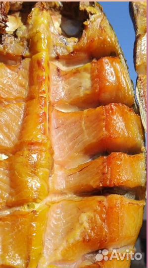 Коптильня для дома и дачи