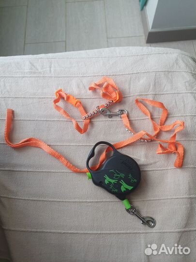 Шлейка и поводок