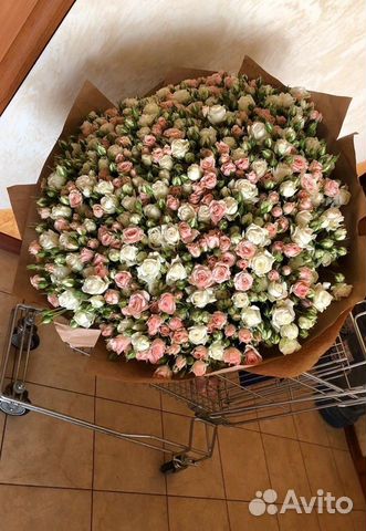 Розы 101 штука цветы доставка объявление продам