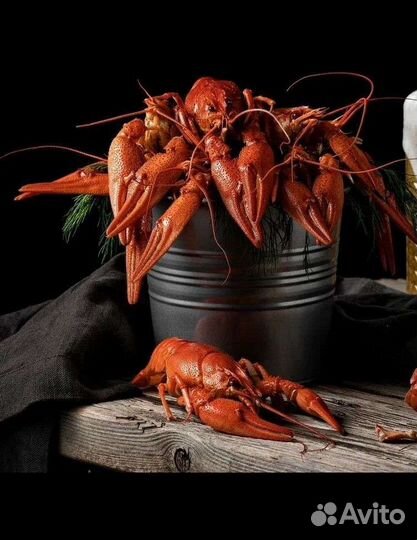 Живые раки