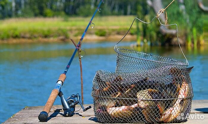 База отдыха на территории огромного озера