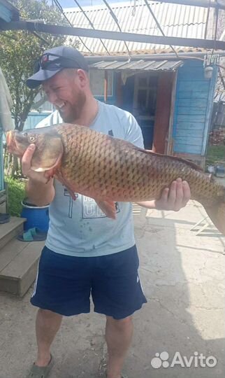 Рыбалка Камызяк Астраханская область