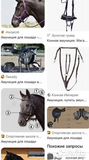 Конная амуниция