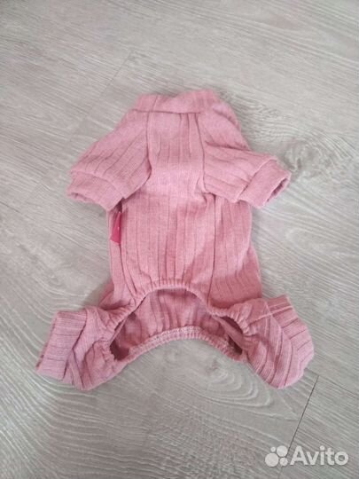 Одежда для собак мелких пород