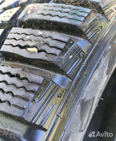 Maxxis ArcticTrekker NP3 205/55 R16