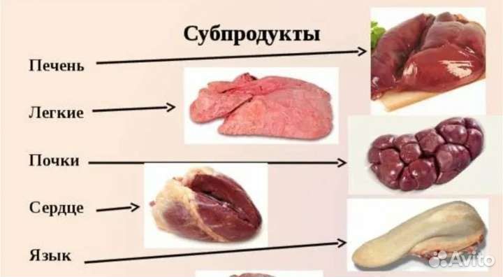 Головы, ливер,рубец