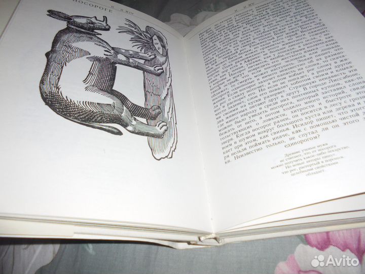 Сафари под Килиманджаро Й.Вагнер Младе-лета 1984