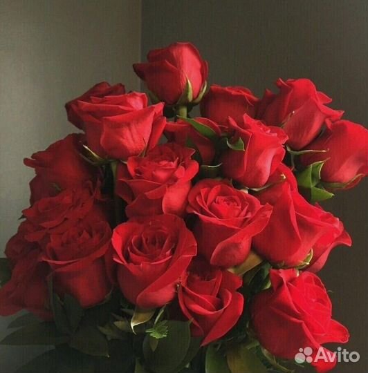 Розы 17 штук