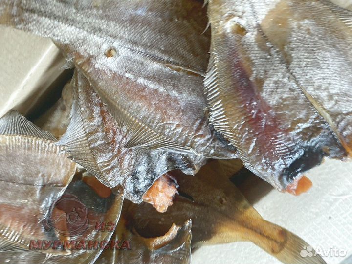 Ерш Мурманский