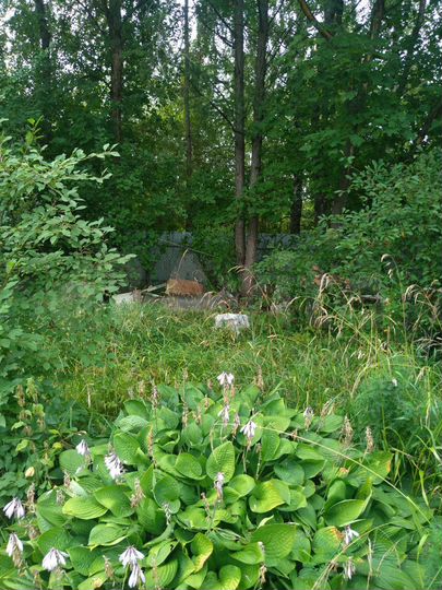 Участок 38,5 сот. (ИЖС)