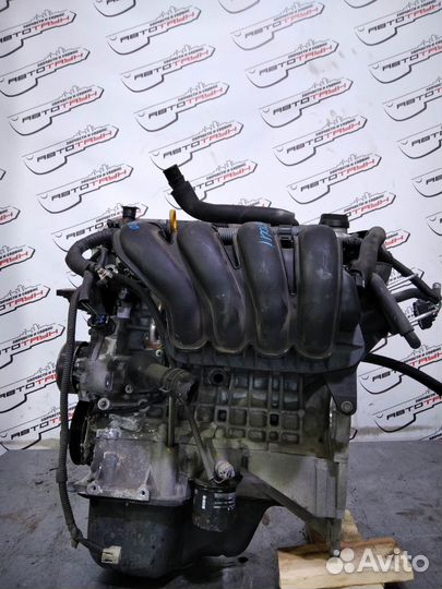 Двигатель toyota pontiac 1ZZ-FE. vista ardeo voltz will VS wish. ZZT251 ZZV50 ZZV50G ZZW30 впуск пла