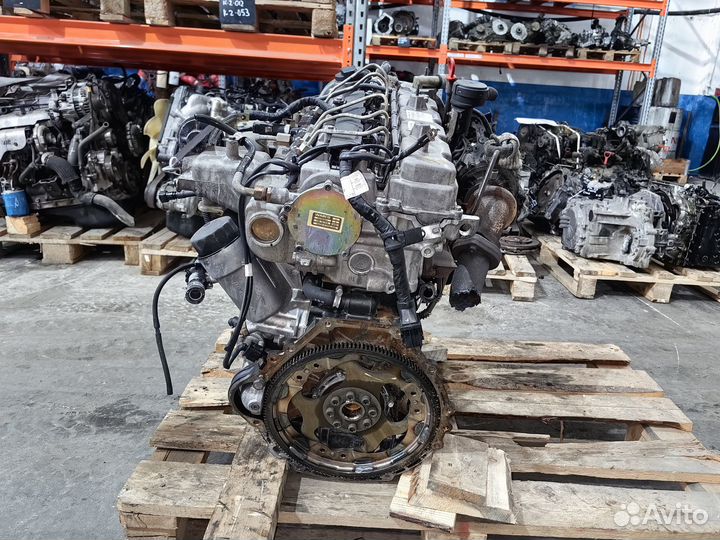 Корейский Двс SsangYong Rexton D27DT 665925