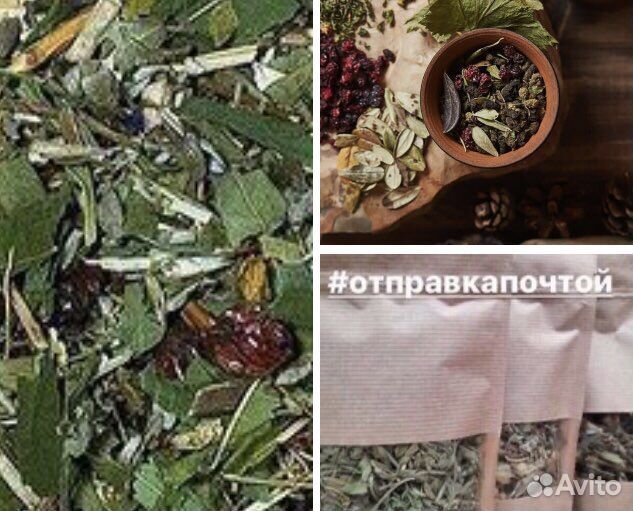 Сбор трав для Почек