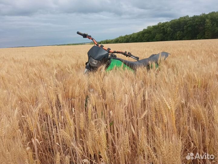 Irbis TTR 250 R