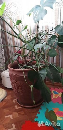 Горшок для цветов керамика большой