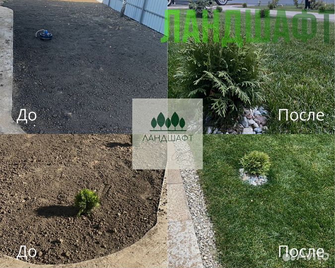 Парковый рулонный газон Павловский посад