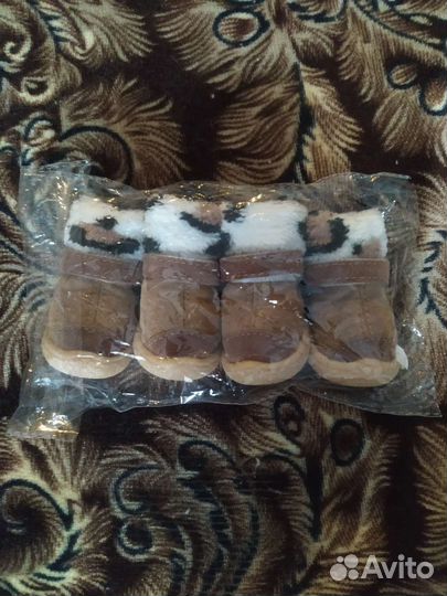 Одежда и обувь на маленькую собачку