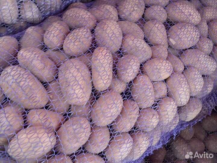 Картофель едовая