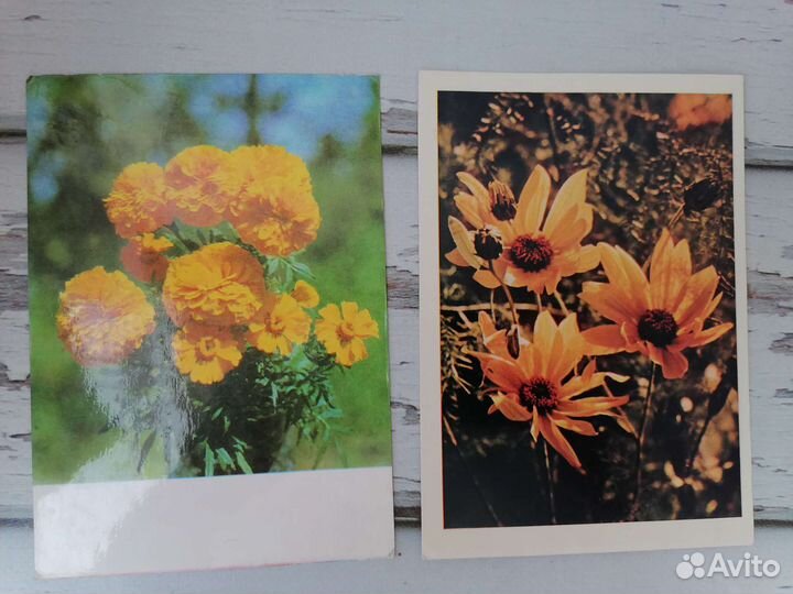 Открытки СССР