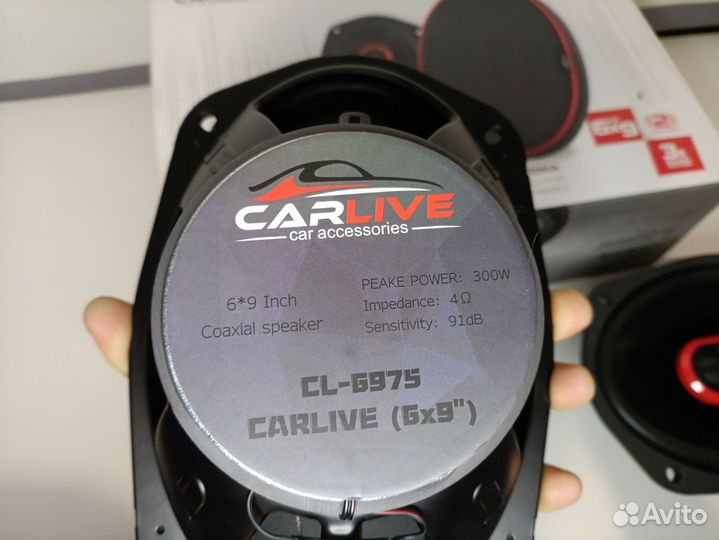 Колонки в машину овалы 69