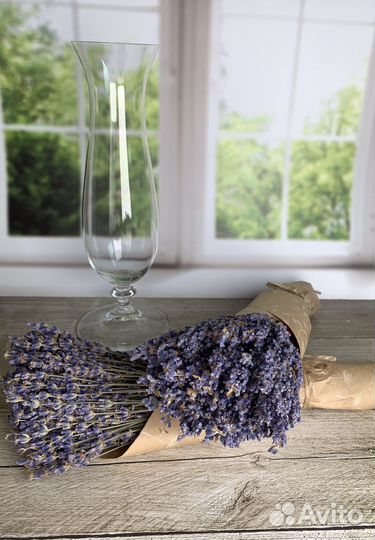 Лаванда ароматная букет сухоцвет