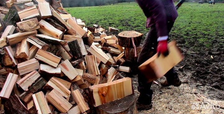 Дрова из ло