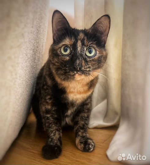 Девочка Маруся ищет дом