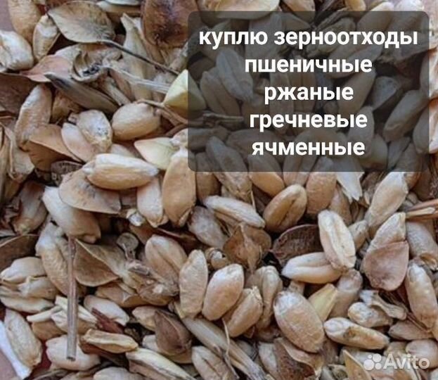 Зерноотходы