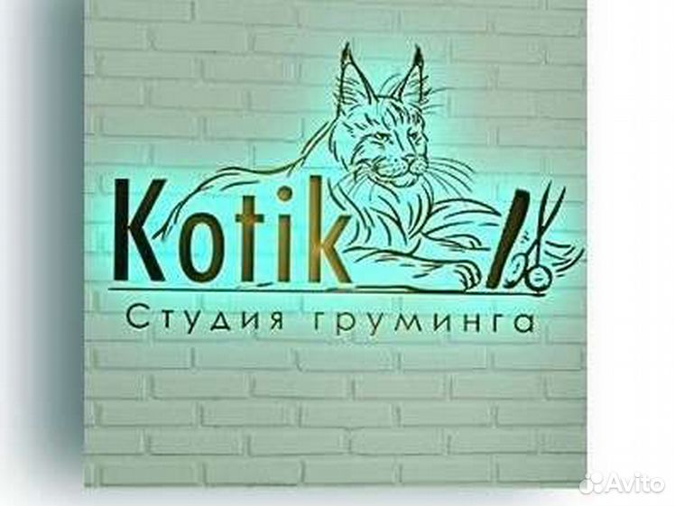 957 962. Логотип Мейн куна. Логотип питомника Мейн кунов. Логотипы питомников Мейн кунов. Логотип питомника кошек