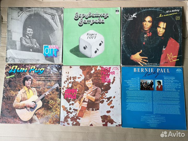 Исполнители Запада Сандра Гейнор Анка