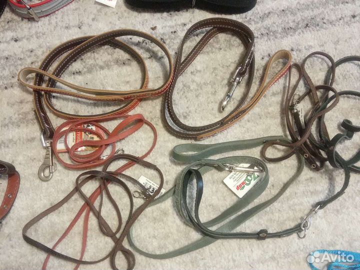 Амуниция для собак