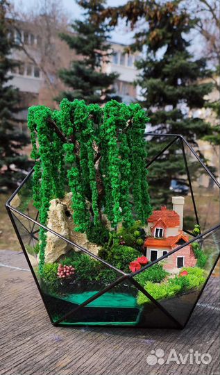Флорариум моссариум подарок