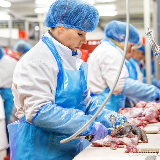 Обработчики птицы