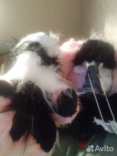 Маска раптора фурсьют