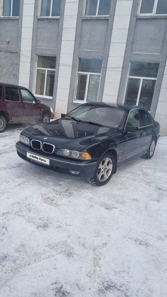 BMW 5 серия: фото владельца