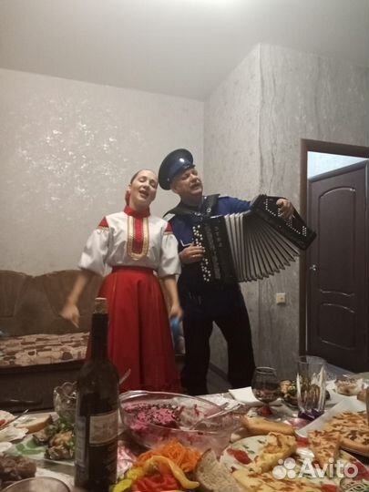 Баянист гапраздник, свадьбу, день рождения