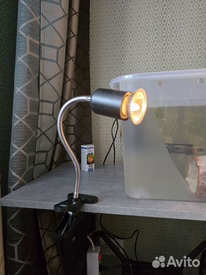 Лампа для террариума