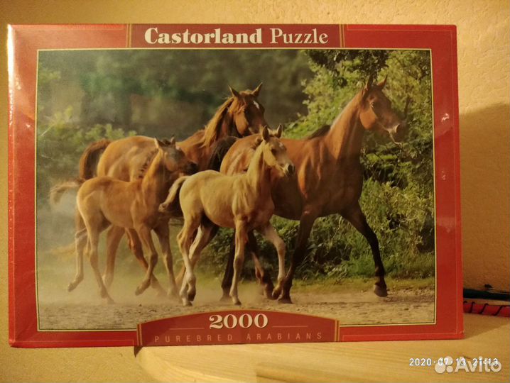 Puzzle Castorland (Польша)