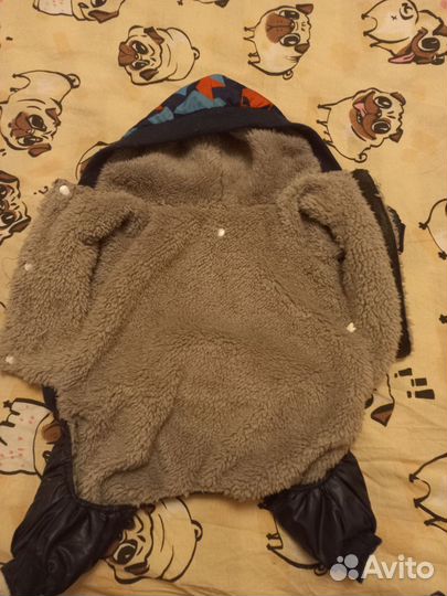 Кофта,комбез,ринговка,шампунь,расческа